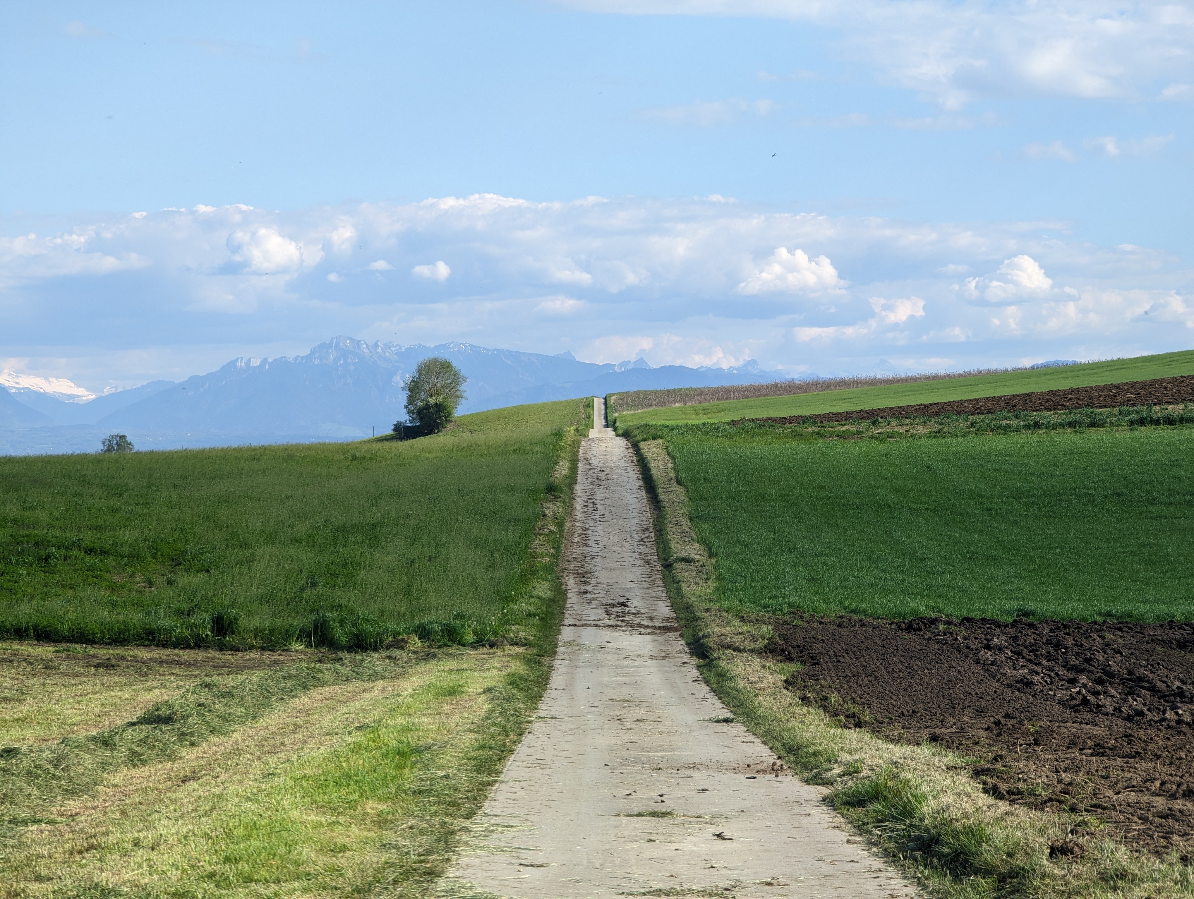 rolling hills and mountains